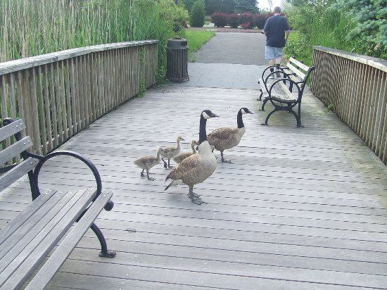 AC Waterfront Sculpture Walk